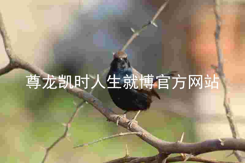 尊龙凯时人生就博官方网站