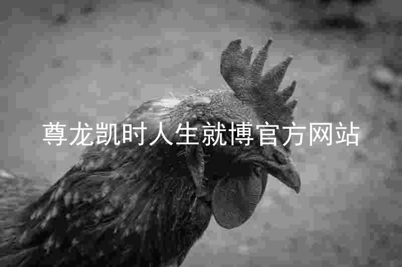 尊龙凯时人生就博官方网站