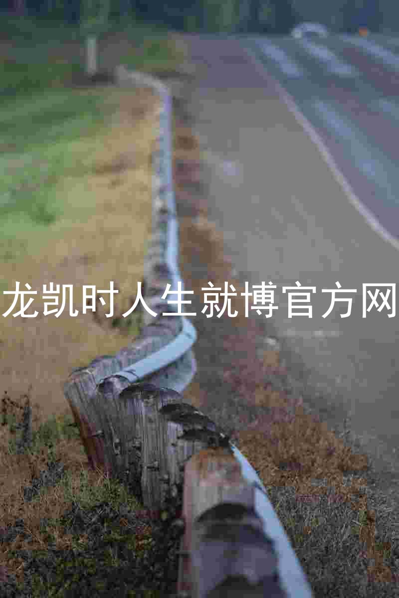 尊龙凯时人生就博官方网站