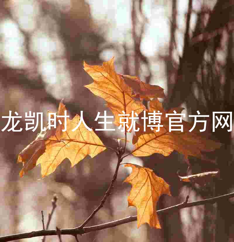 尊龙凯时人生就博官方网站