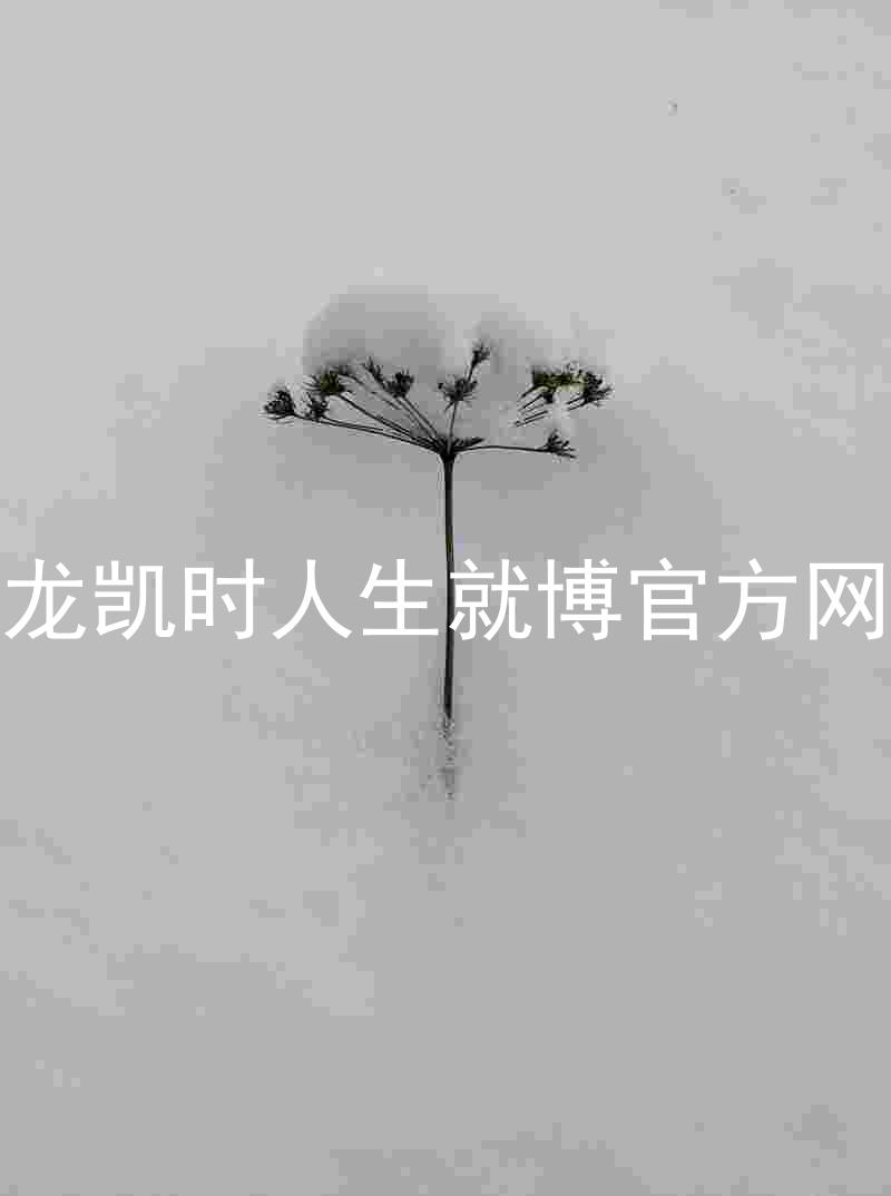 尊龙凯时人生就博官方网站