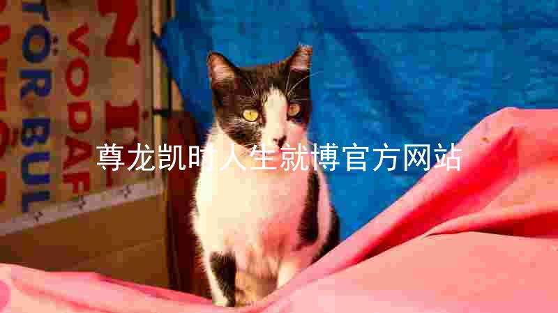 尊龙凯时人生就博官方网站