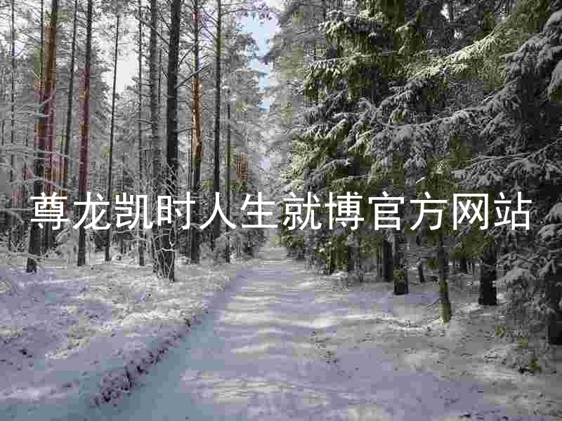 尊龙凯时人生就博官方网站