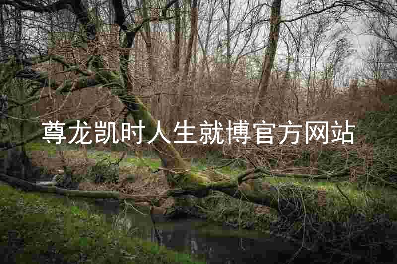尊龙凯时人生就博官方网站