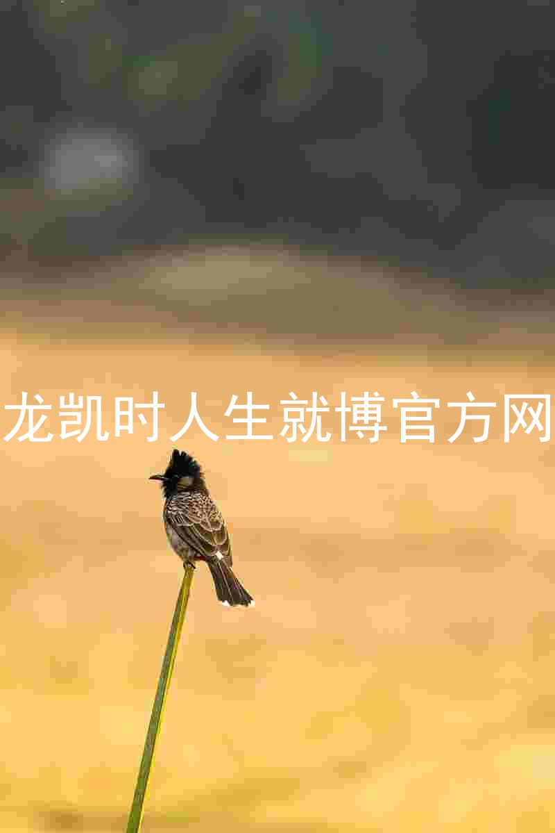 尊龙凯时人生就博官方网站