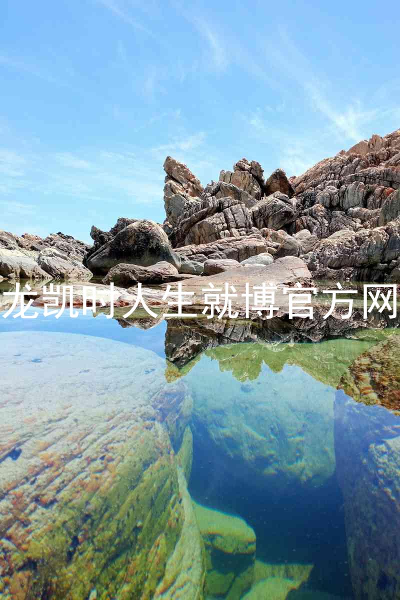 尊龙凯时人生就博官方网站