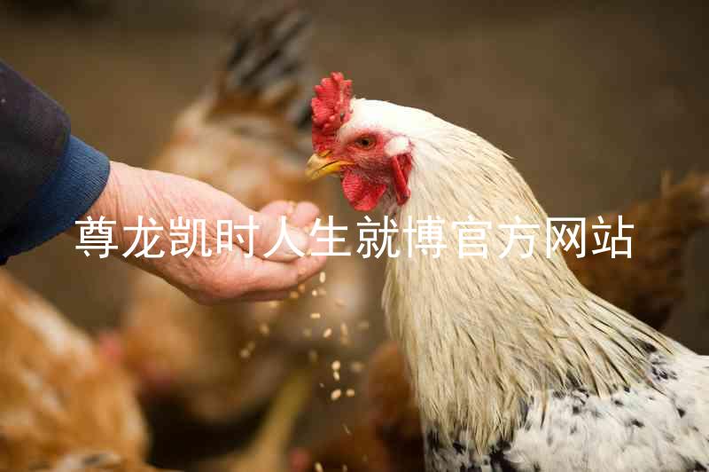 尊龙凯时人生就博官方网站