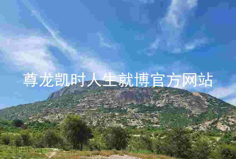 尊龙凯时人生就博官方网站