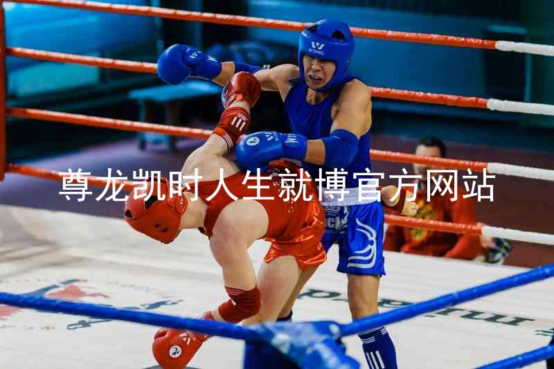 尊龙凯时人生就博官方网站