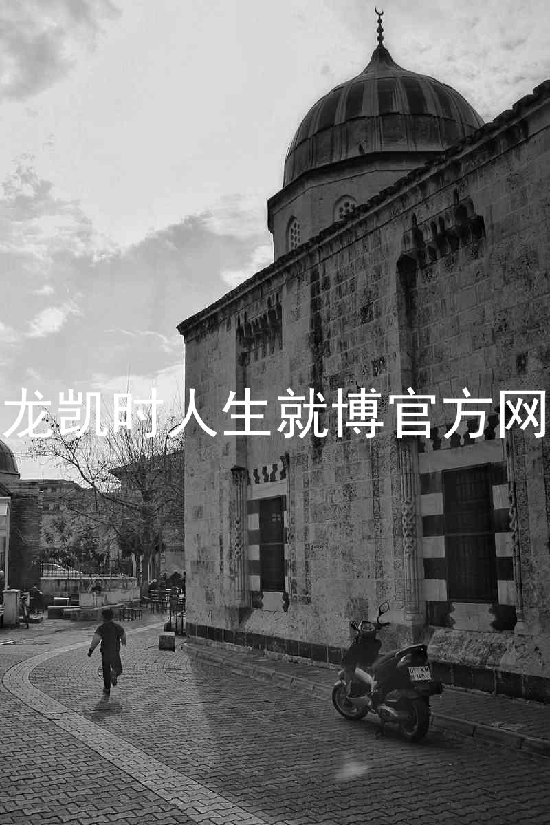 尊龙凯时人生就博官方网站