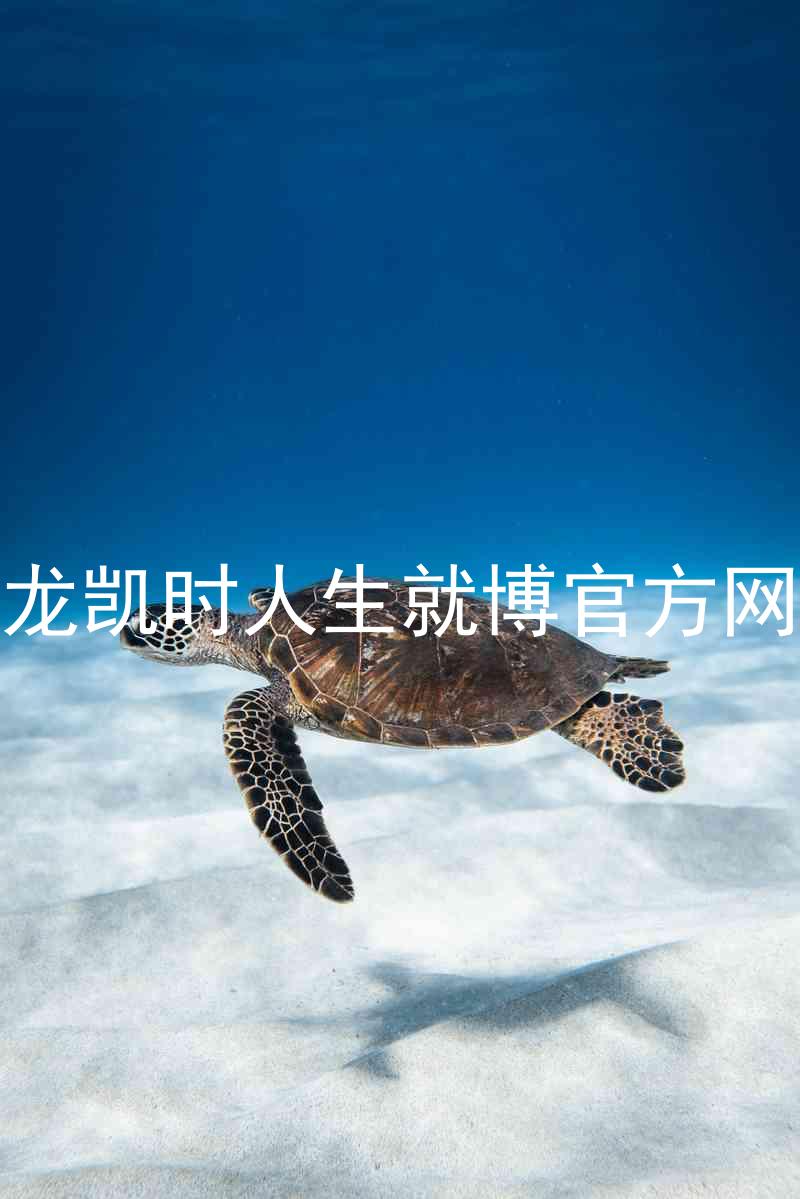 尊龙凯时人生就博官方网站