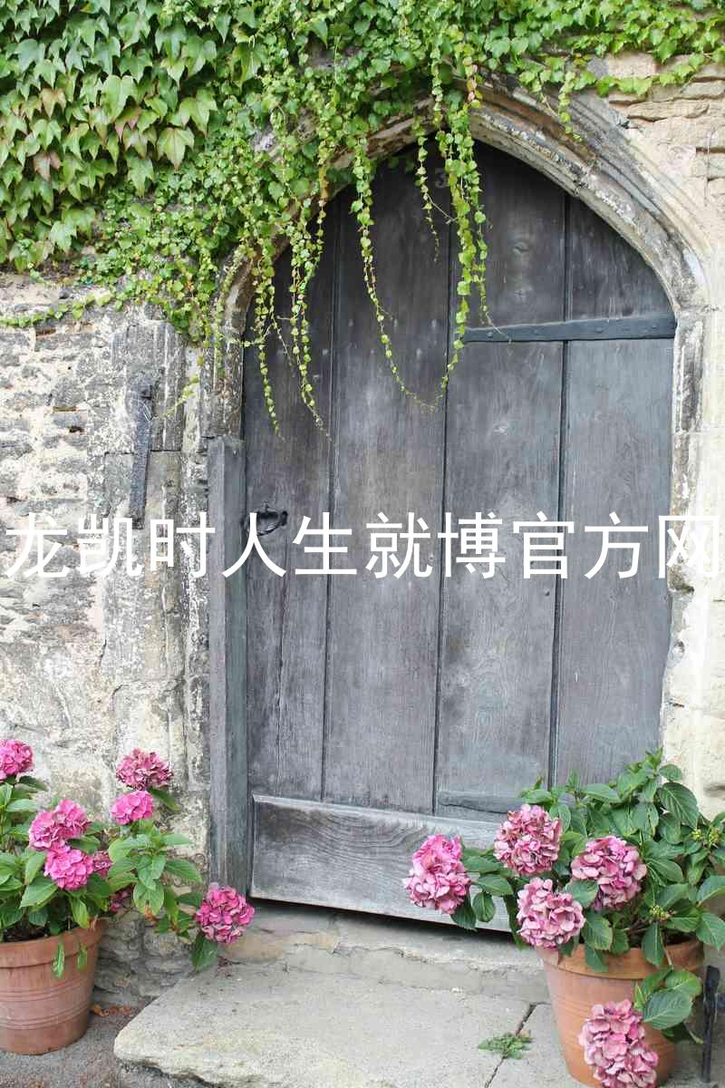 尊龙凯时人生就博官方网站